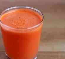 Сокоизстисквачки за моркови: как да изберем най-добрия вариант