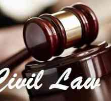 Взаимодействие на гражданското право с други области на правото: описание, примери и функции