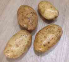 Картофена сорта "Янка": характеристики, вкус и грижа