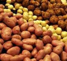Картофени сортове в Беларус: рано, средно, средно, средно късно, имена, описание, доходност