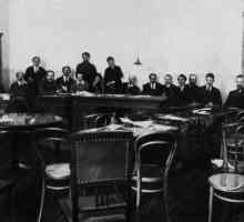 Съветът на народните комисари е първото правителство на съветската Русия