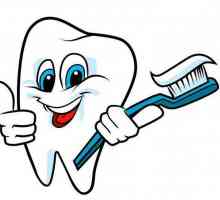 Съвети зъболекари: колко пъти на ден трябва да си измиете зъбите