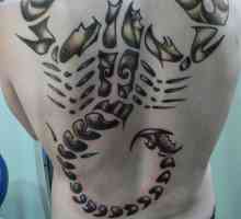 Модерни татуировки: какво означава скорпион