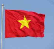 Съвременното знаме на Виетнам и неговите исторически варианти