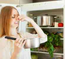 Модерен абсорбатор на миризми за хладилници: кажете "не" на външни аромати!