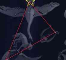 Съзвездие Cygnus: схематично. История на съзвездието Cygnus. Когато е по-добре да наблюдавате…