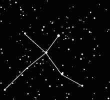 Съзвездието Cygnus в астрономията и астрологията