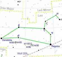 Constellation Lions: местоположение и ярки звезди