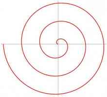 Спиралата на Архимед и нейните проявления в света около нас