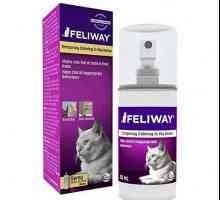 Спрей "Felivey" за котки: инструкциите и отговорите