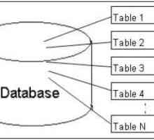 SQL отделни: описание, примери, свойства