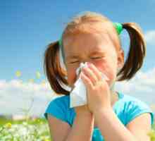 Средства от алергия за деца. Какви са те?