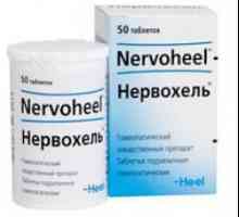 Средства "Nervohel": прегледи и описание на препарата