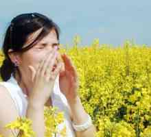 Лек за алергия към амброзия - нали?