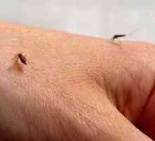 Отстраняване на комари за бебета. Преглед на козметичните средства за комари за деца под една година