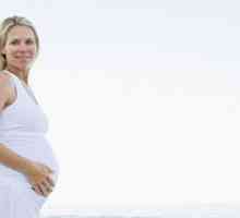 Времето на втория скрининг по време на бременност. Изчерпателно изследване на бременни жени
