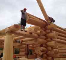 Бани с дървени трупи: тънкостите на процеса