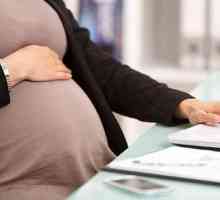 Член 261 от ЗК RF. Гаранции на бременна жена и лица със семейни отговорности в случай на…