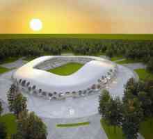 Стадион "Борисов-Арена": строителство, капацитет, адрес