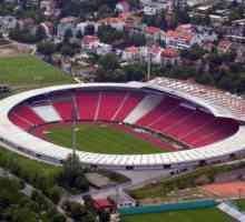 Стадион "Цървена звезда" в Белград: описание, история и интересни факти