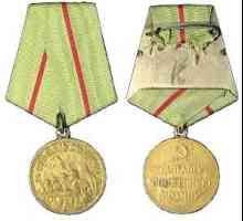 Сталинградска битка и медал "За защитата на Сталинград"
