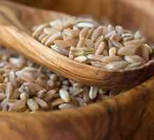 Старото име на дървена кутия за съхранение на зърно: гърдите или сучек?