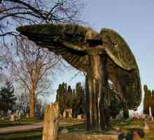 Статуи на ангели: преглед, история и интересни факти