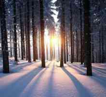 Статуси за зимата: за тези, които обичат снега повече топлина