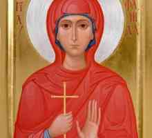 "Стефанида Дама" - икона на православните християни