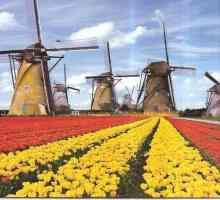 Държава Холандия: градове, най-големите градове