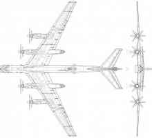 Стратегически бомбардировач TU-95: характеристики и снимки