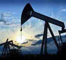Стратегическите природни суровини на Руската федерация са петролът "Урал"