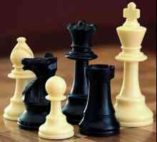 Стратегия и тактика в шаха. дебют