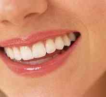 Структурата на зъба: анатомичните тънкости са свързани с изпълняваната функция