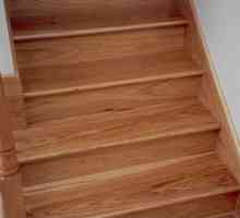Стъпки за стълби: техните характеристики