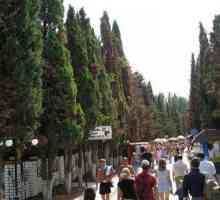 Судак, Cypress алея - място за приятен престой