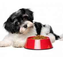 Суха храна за кучета от малки породи