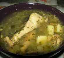 Супа kalya: характеристики, рецепта