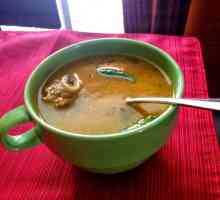 Агнешки супи: рецепти, функции за готвене
