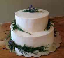 Сватбена зимна торта: тенденции, снимка