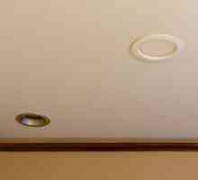 LED лампи за опънати тавани: преглед, типове, характеристики и рецензии