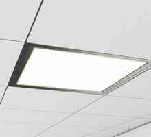 LED панелите са изключително тънки: описание и приложение