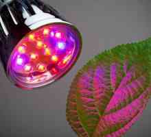 Светодиоди за растения, диапазон от LED лампи