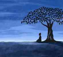 Свещеното дърво на Боди. Боди дърво: описание, история и интересни факти