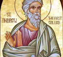 Св. Андрей първият - икони, църкви, ред