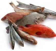 Имоти, най-добри рецепти, вреда и полза от рибата. Предимствата на червената риба