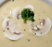 Сирене супа от топено сирене: рецепта с снимка