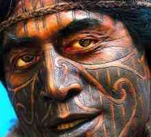 Татуировка "Маор": значението за племето, как са приложени, как се различават