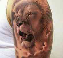 Татуировка на рамото. Лъвът да се изпълни - и символичен, и красив
