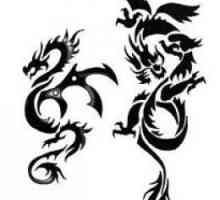 Татуировка под формата на дракон. Видове дракони (снимка)